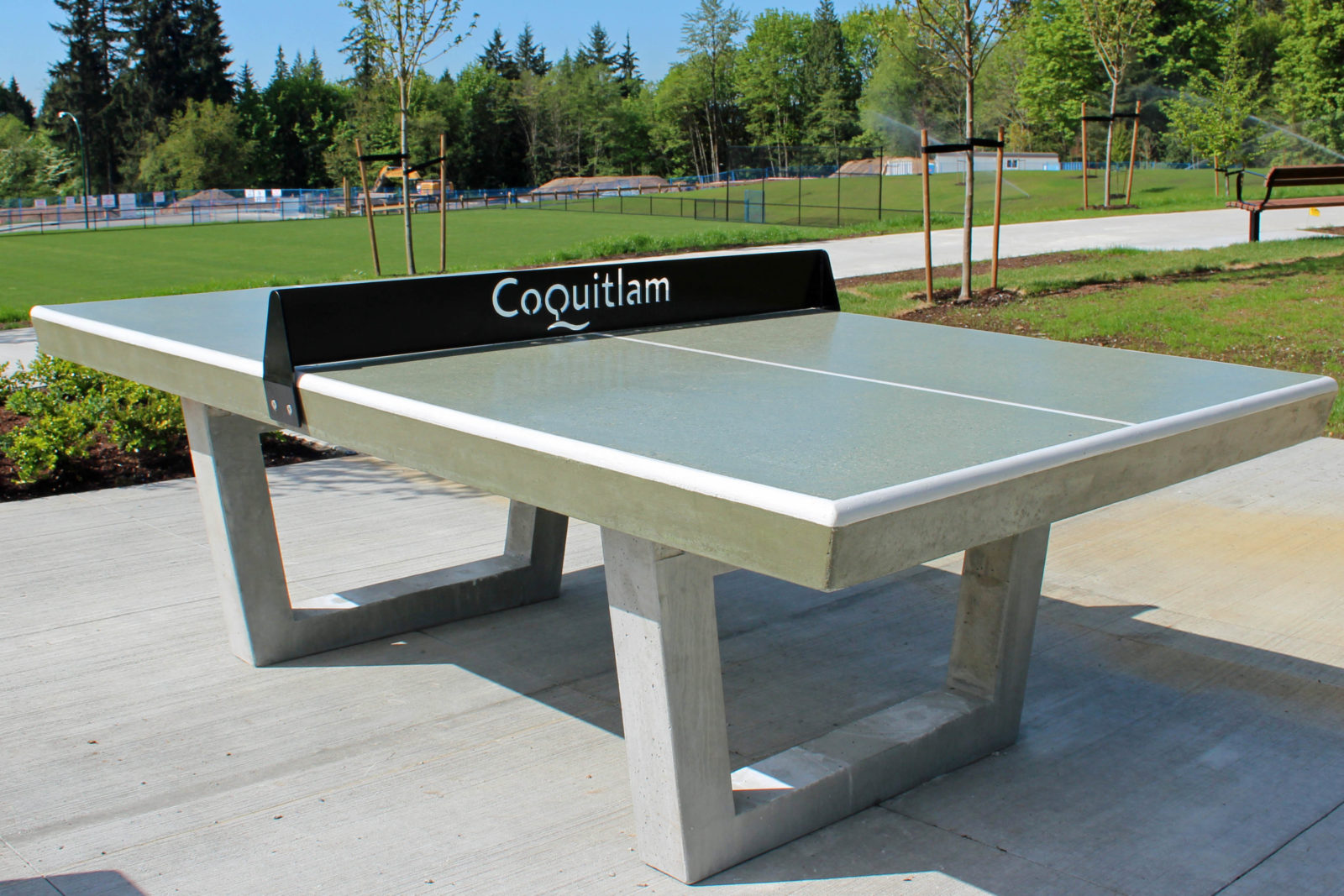 Yes, you can customize your concrete ping pong table Sanderson Concrete