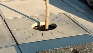 4 foot precast concrete sidewalk tree grate Port Coquitlam BC