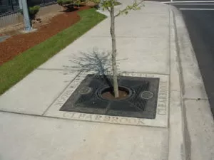cast iron and precast concrete tree grate surround with lettering