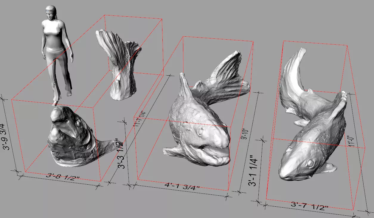 salmon 3D modelling