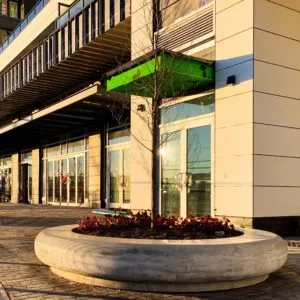 Moscone donut planter