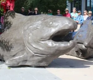 Langley concrete salmon sculpture showcased in a public art installation with crowd